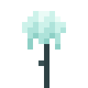 White Willow Sapling